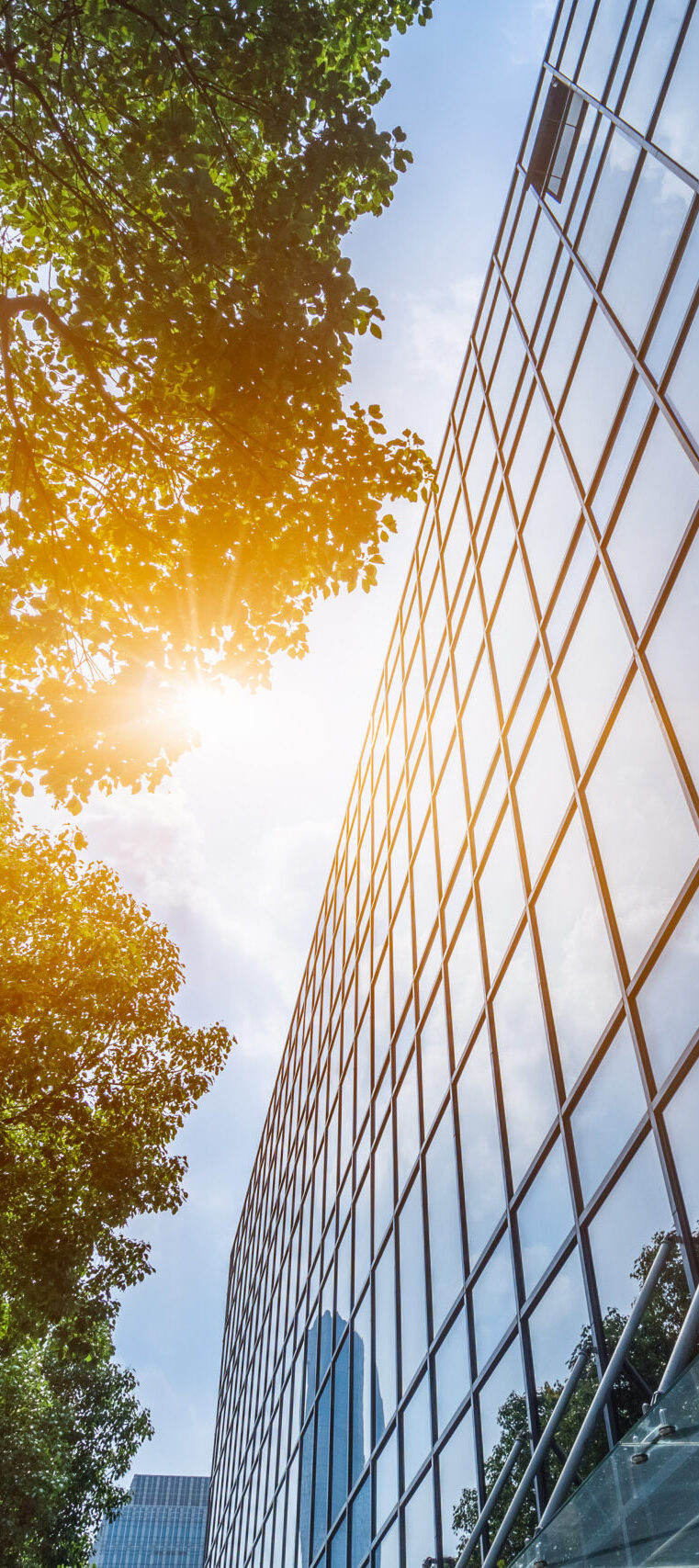 modern office building with green leaves.
