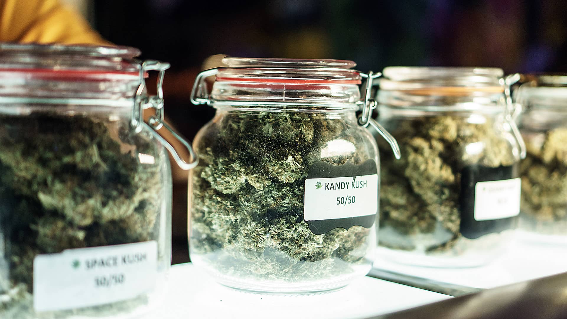 Cannabis dispensary glass jars of flower in an illuminated display case
