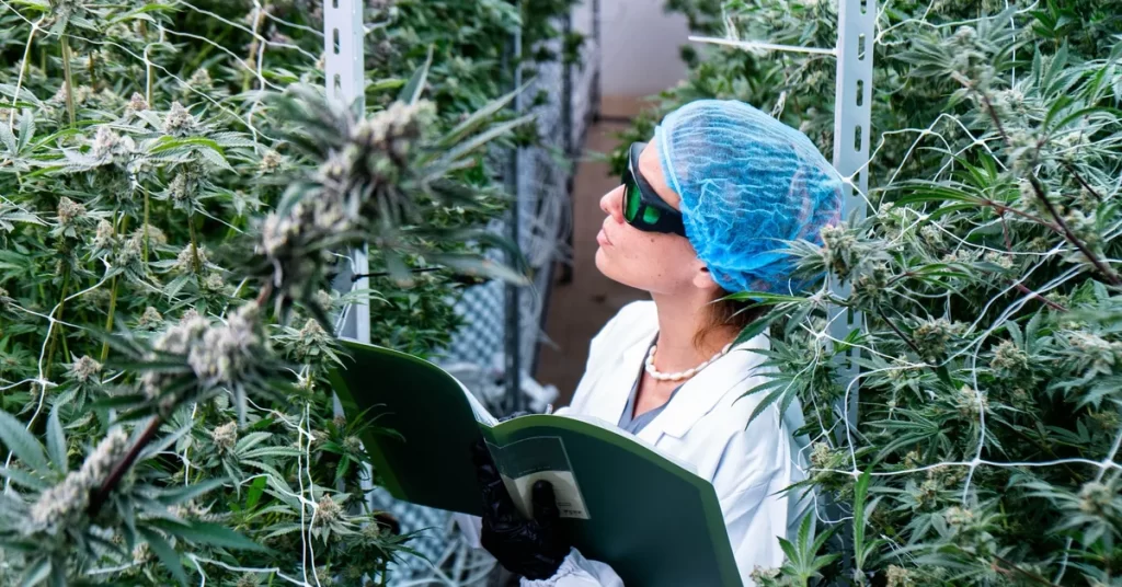 pass DCC security inspection cannabis dispensary camera requirements