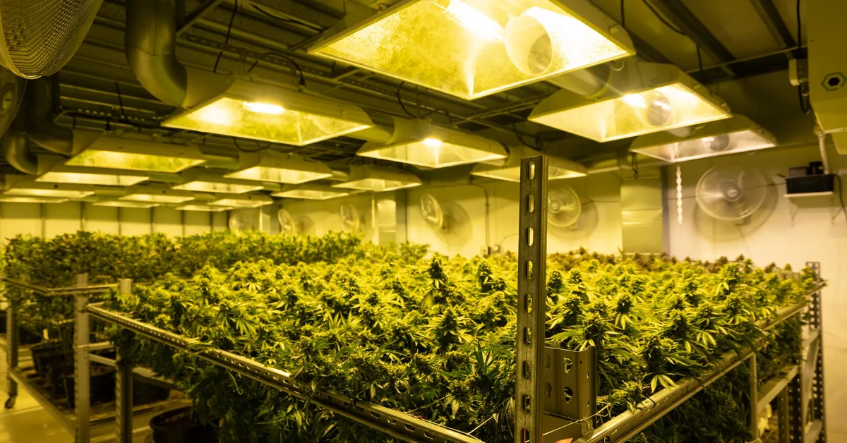 cannabis dispensary employee theft prevention access control logging