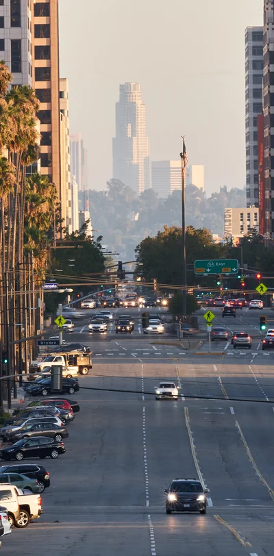 Palm-lined commercial boulevard in Glendale, CA with the Los Angeles skyline beyond